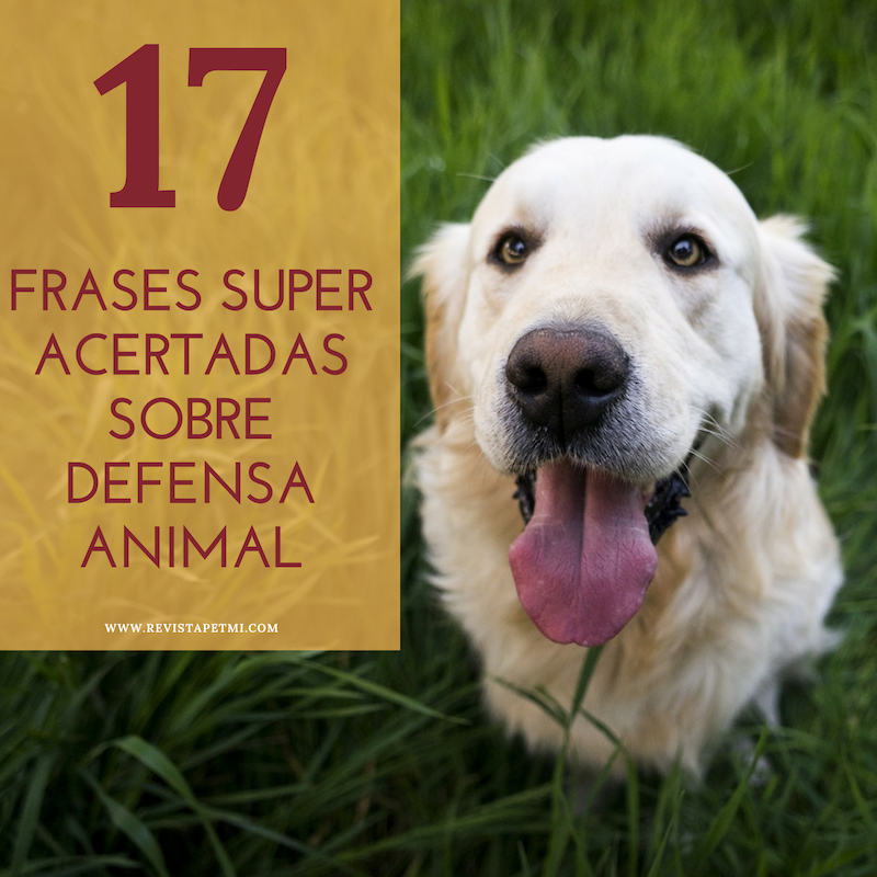 17 Frases super acertadas sobre defensa animal (5)