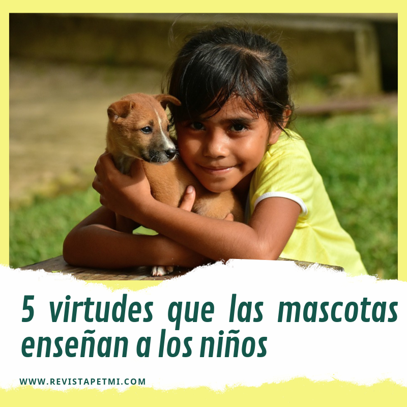 5 virtudes que las mascotas enseñan a los niños - portada