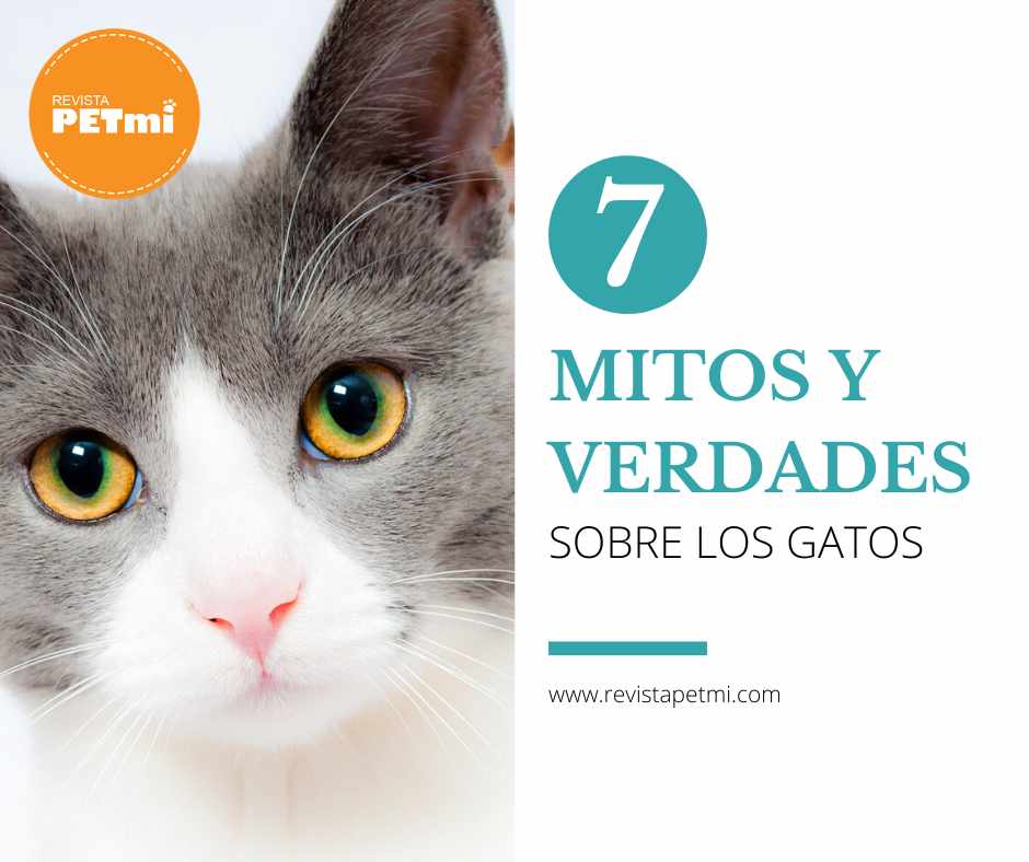 Mitos y verdades sobre los gatos (3)-compressed