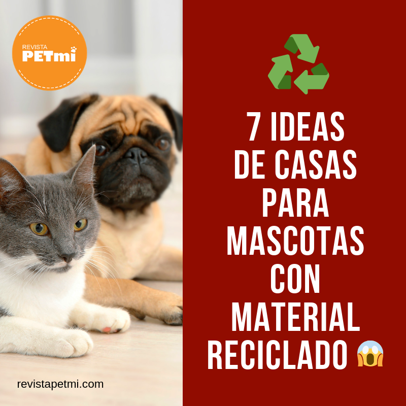 7 ideas de casas para mascotas con material reciclado -