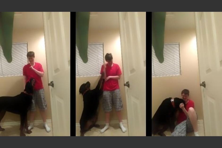 Rottweiler ayuda a joven autista