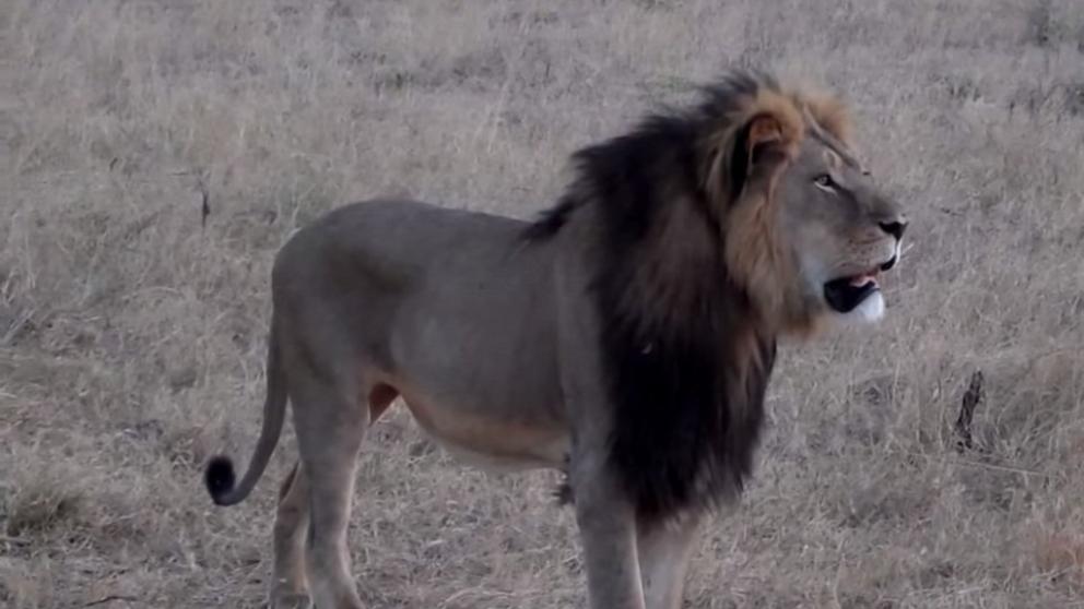 Aerolíneas importantes prohíben