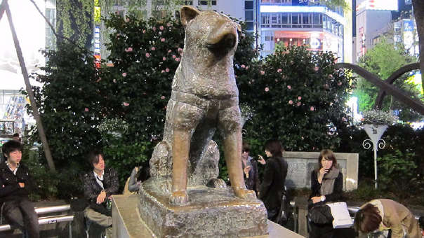 Encuentran foto inédita de Hachiko, el perro fiel
