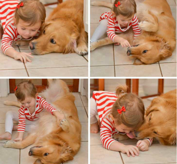 bebé tapa a sus mascotas