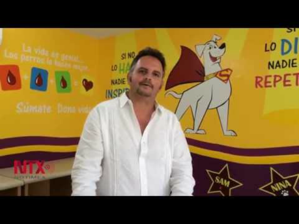 banco de sangre veterinario