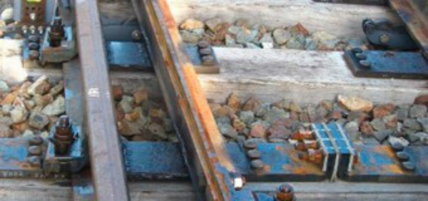 túneles para tortugas