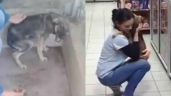 Perrita rescatada recibe su primer abrazo