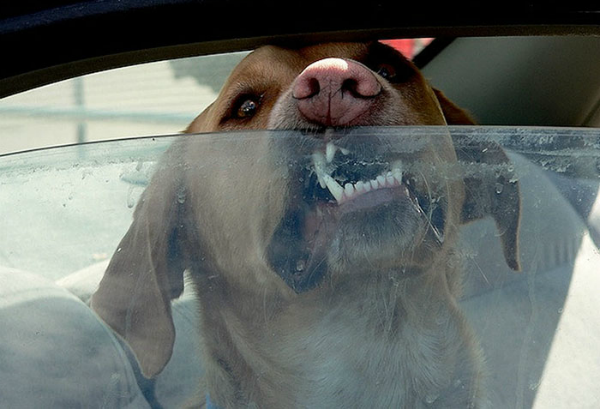 Florida legaliza romper vidrios