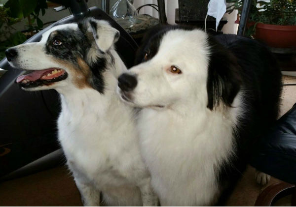 Mujer con cáncer terminal