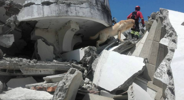 Muere por agotamiento