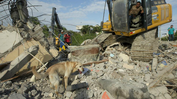 Ecuador rescatan a mascotas