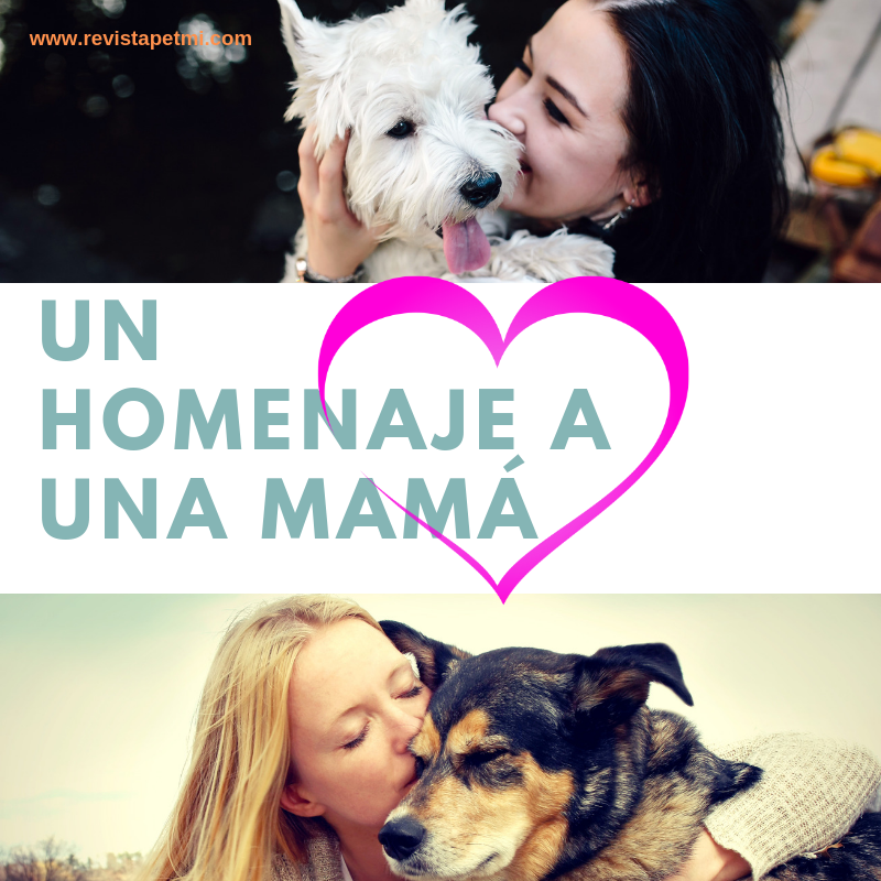 mamás y mascotas pet lover