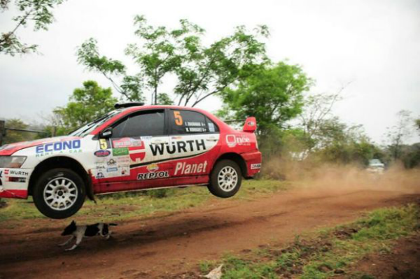 Perro más suertudo del planeta