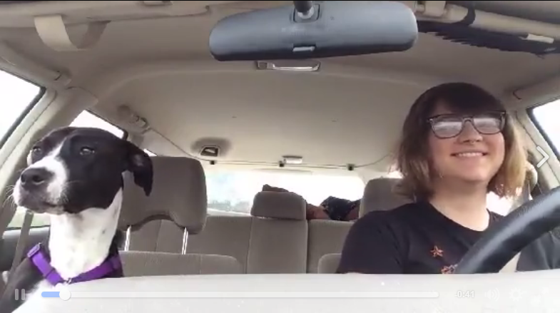 carpool karaoke perro