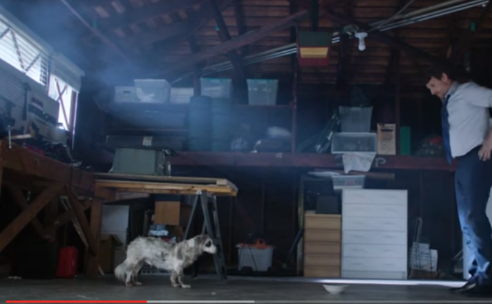 Comercial Honda - Adopcion de perros