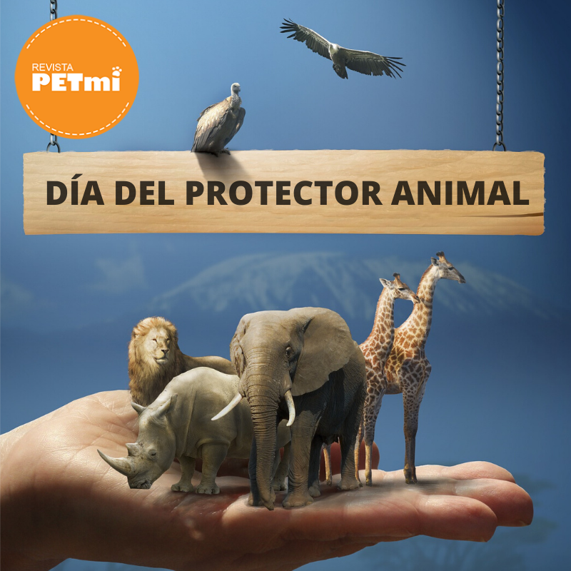 dia del protector animal Revista Petmi