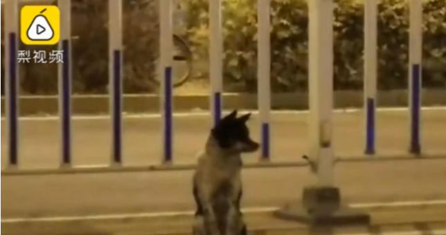 Foto: radiomitre.cienradios.com