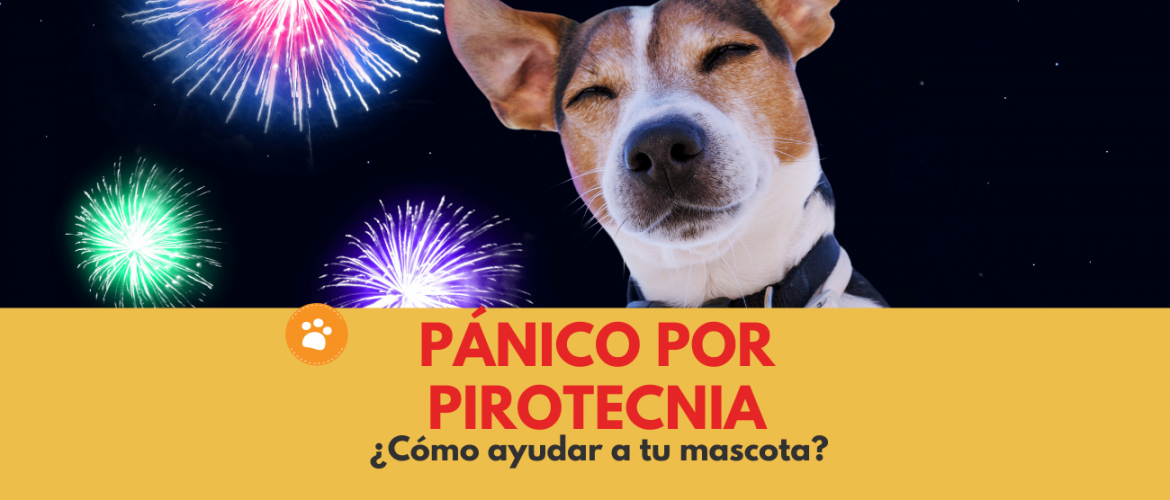 PÁNICO POR PIROTECNIA