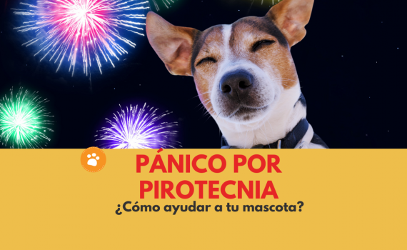 PÁNICO POR PIROTECNIA
