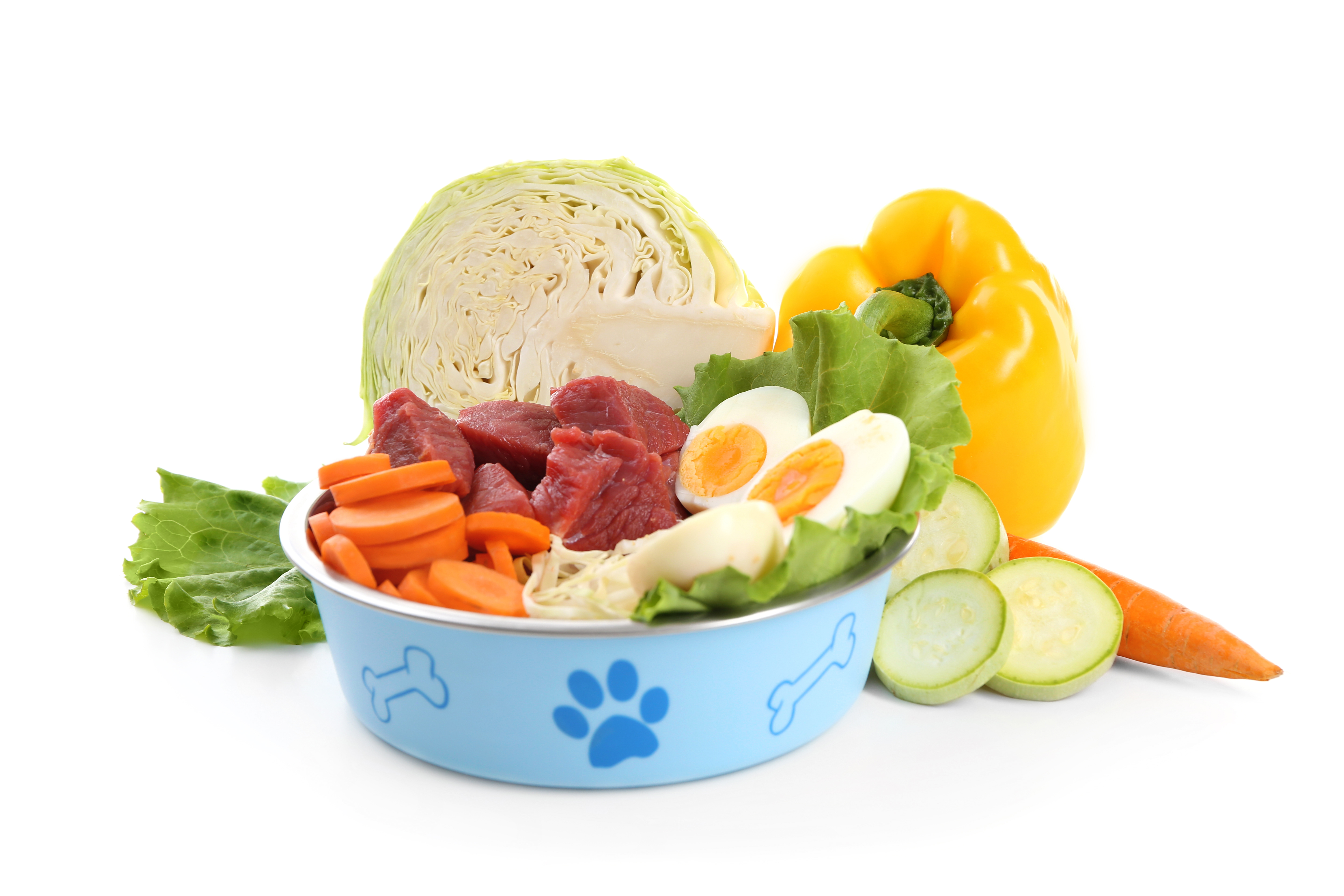 ¿Cuáles son los vegetales que puede comer mi perro? Revista Petmi ¿Cuáles son los vegetales que puede comer mi perro? Revista Petmi