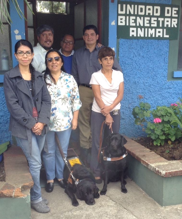 perros lazarillos podrán ingresar a los lugares publicos y privados en Guatemala