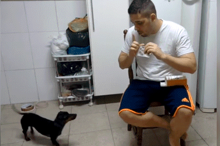 hombre utiliza curioso truco para darle medicamento a su perrito