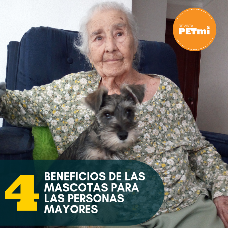 4 Beneficios de las mascotas para las personas mayores (3)