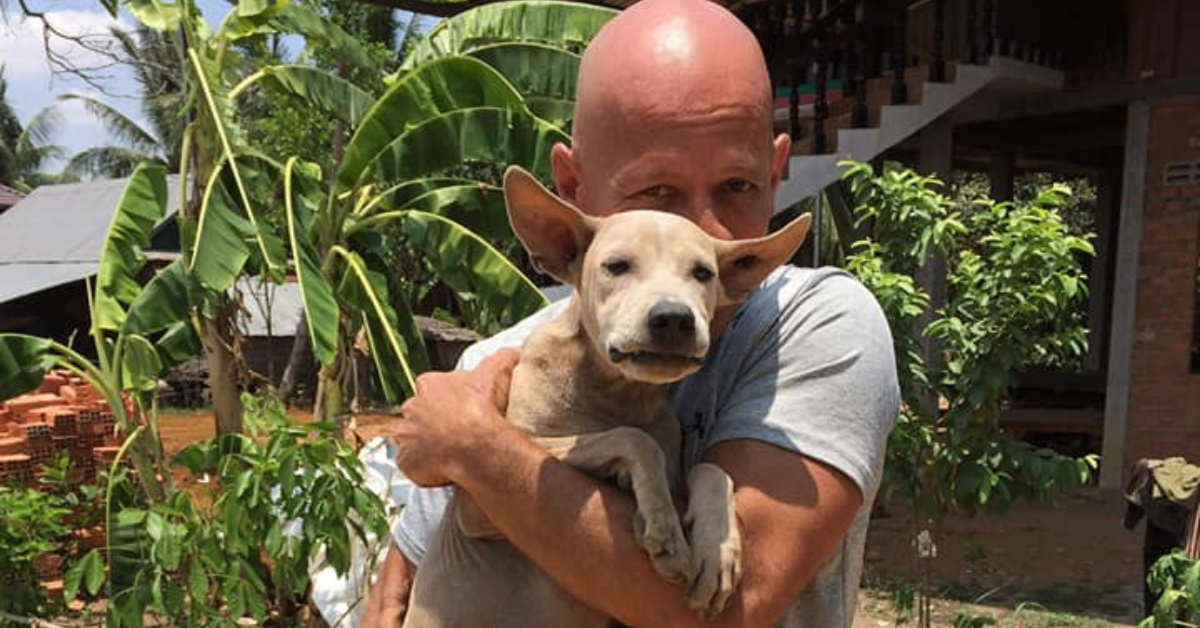 Perrita es rescatada de un matadero en Camboya