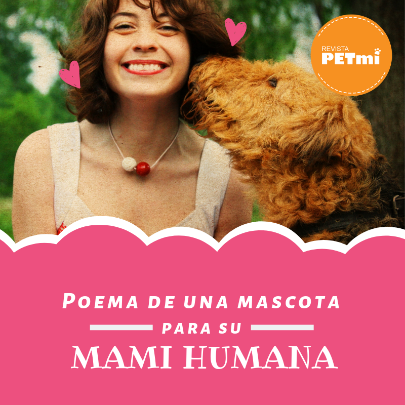Poema de una mascota para su mami humana (3)