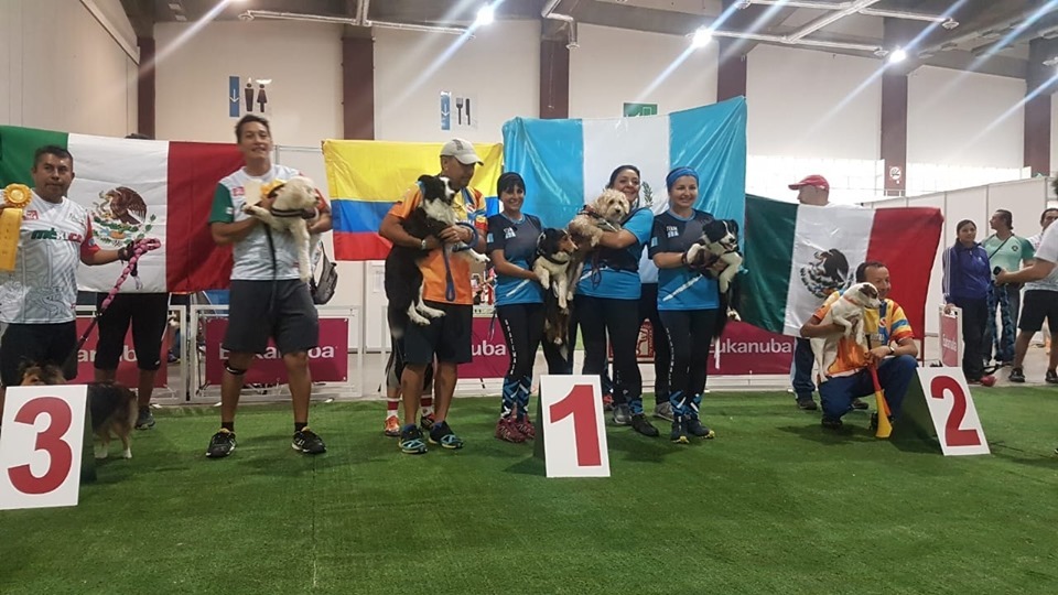 Guatemala se lleva el primer lugar en XIX Campeonato de Agility de las Américas y el Caribe Acapulco, México 2019