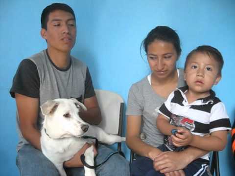 Oso se reencuentra con su familia