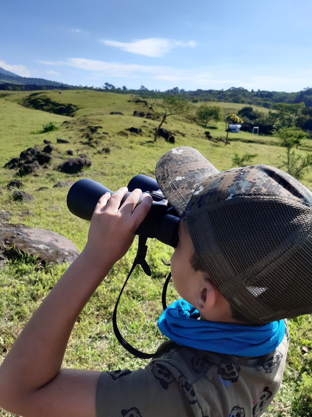 AvistamientodeAves-fincaelamate-birdwatching guatemala