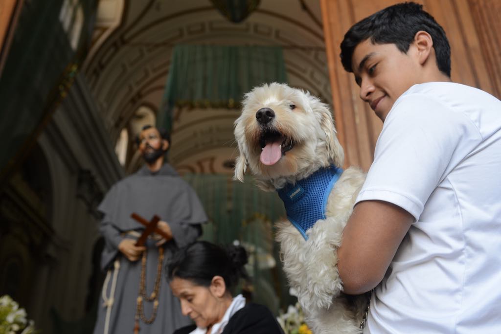 mascotas reciben bendición en conmemoración de San Francisco de Asis