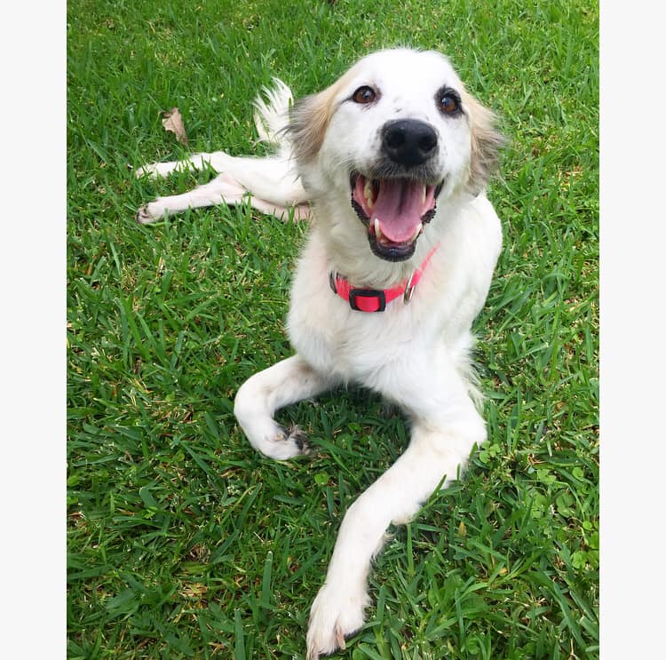 nena y su historia de su segunda oportunidad de vida