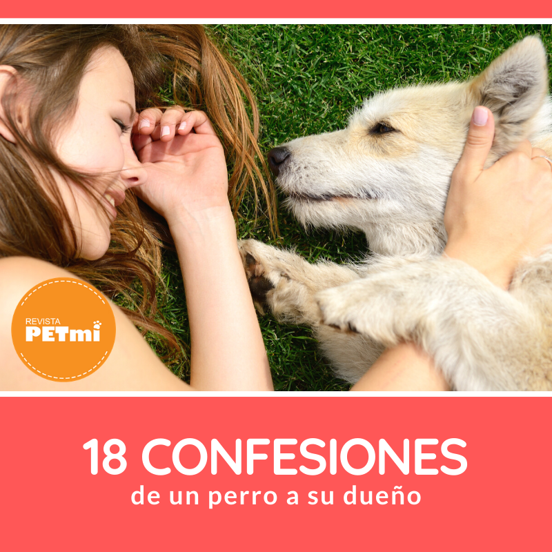 18 confesionesconfesiones de un perro