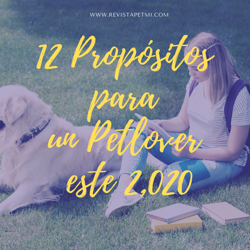 12 proposito para un pet lover 2020