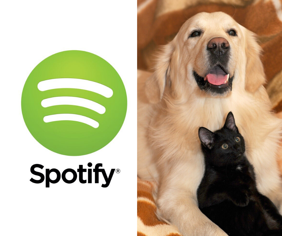 Spotify crea lista de música para mascotas