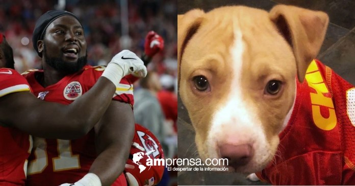 Super Bowl: jugador paga la adopción de 109 perros