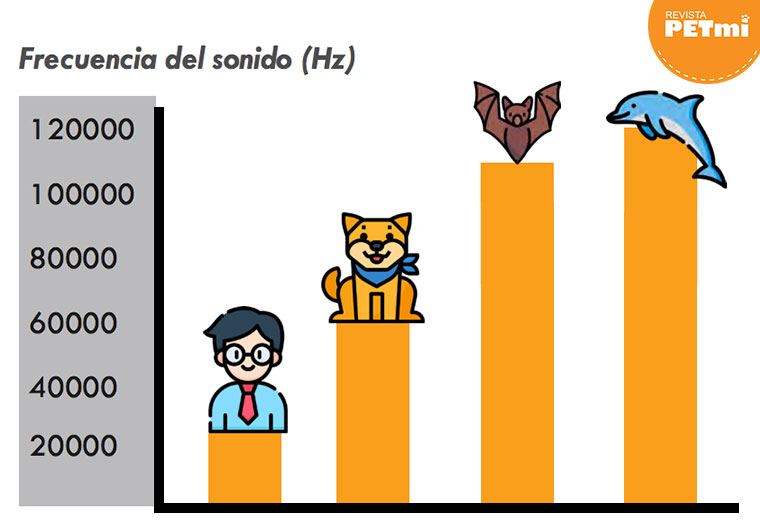 El extraordinario oído del perro Revista