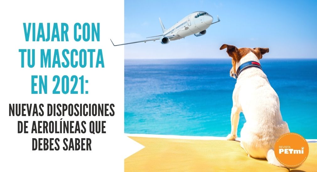 Viajar con tu mascota en 2021_ Nuevas disposiciones de Aerolíneas que debes saber