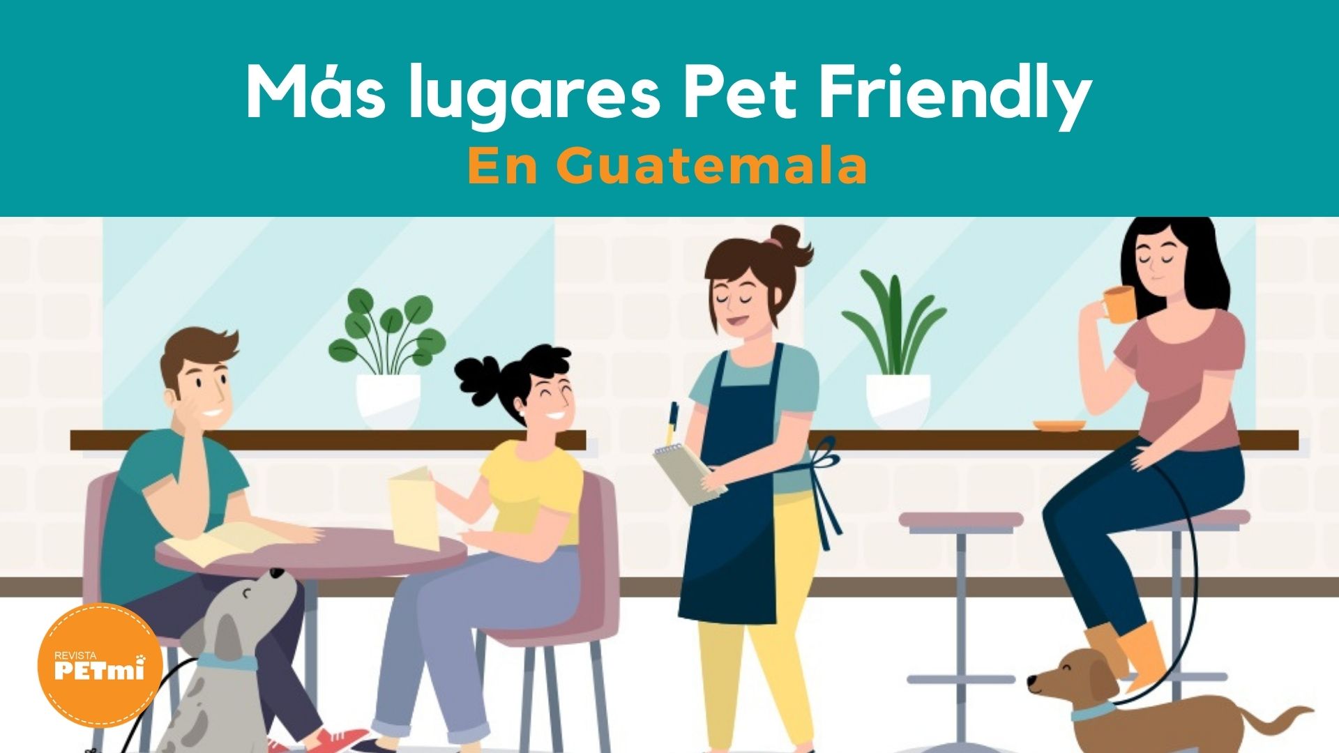 Más lugares Pet Friendly en Guatemala
