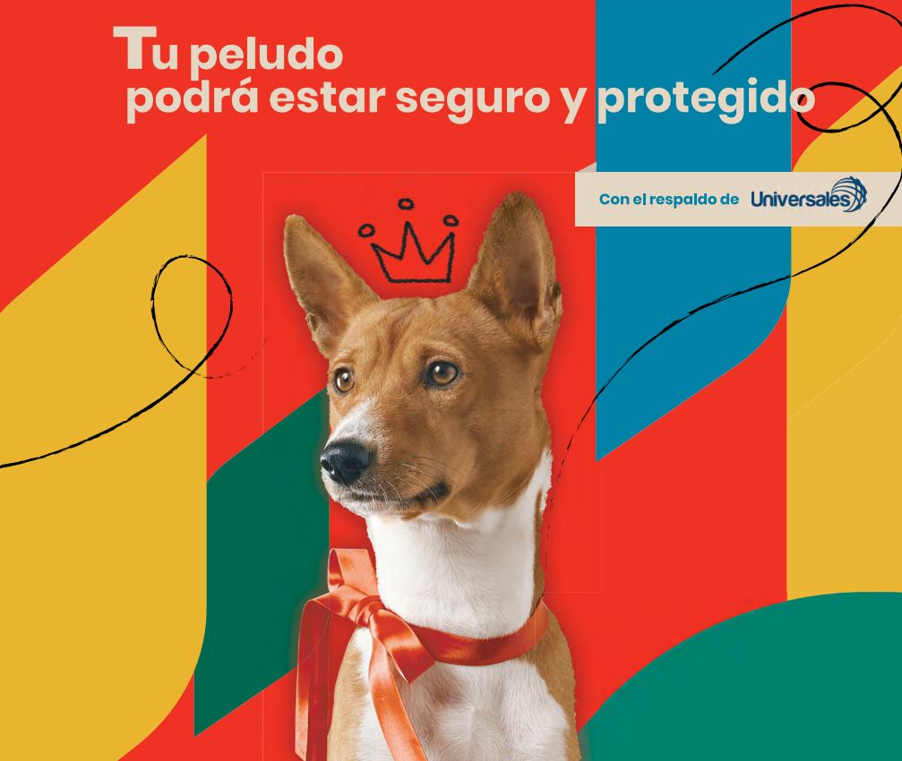 seguro médico para mascotas en guatemala, crezco con el respaldo de seguros universal