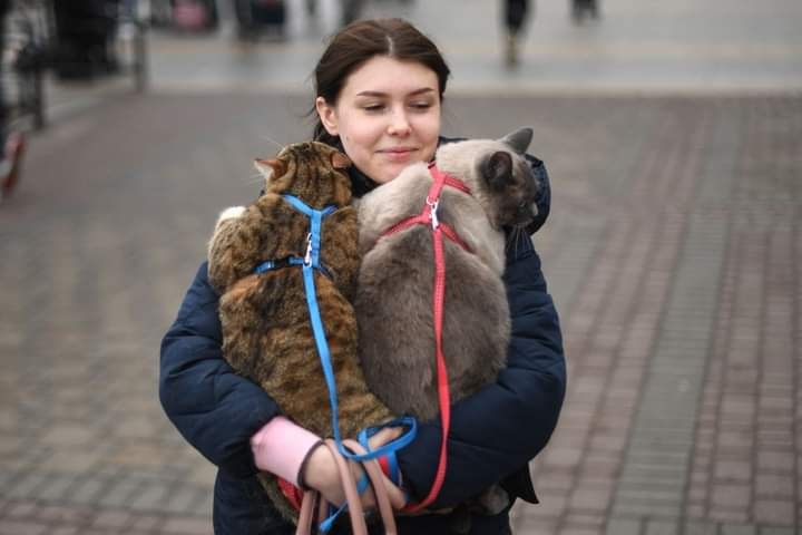 Mascotas en ucrania