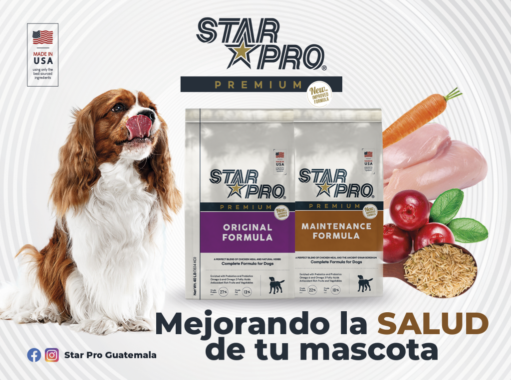 frutas y vegetales para perros 
StarPro Alimento Premium para Perros