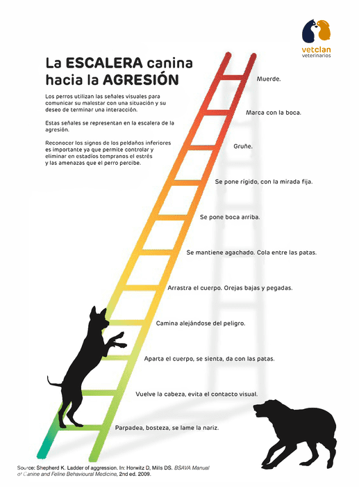mi perro es agresivo: Escalera de la agresividad canina. Fuente VETCAN