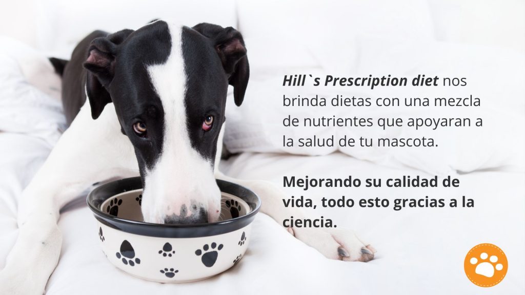 Hill`s Prescription Diet: Nueva imagen