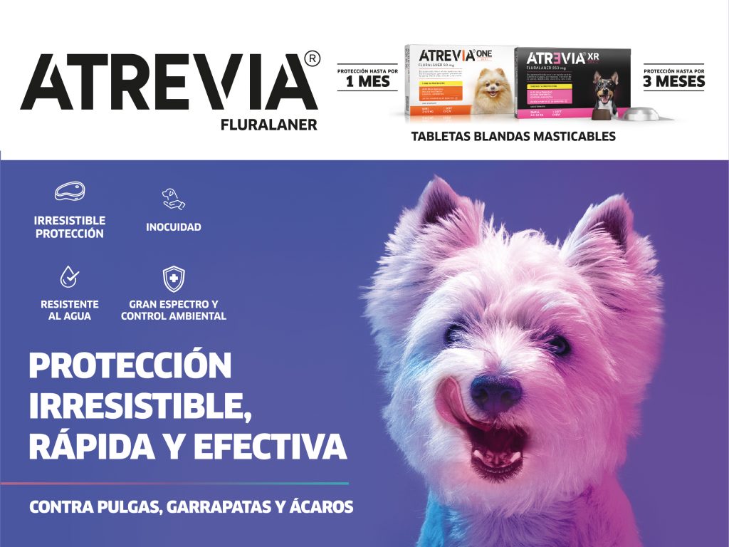 Atrevia, protección  contra pulgas, garrapatas y ácaros - Estrongiloidosis en perros y gatos