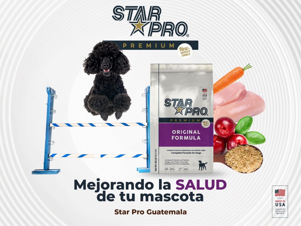 importancia de hacer ejercicio con tu perro: Star Pro, el alimento premium para perros.