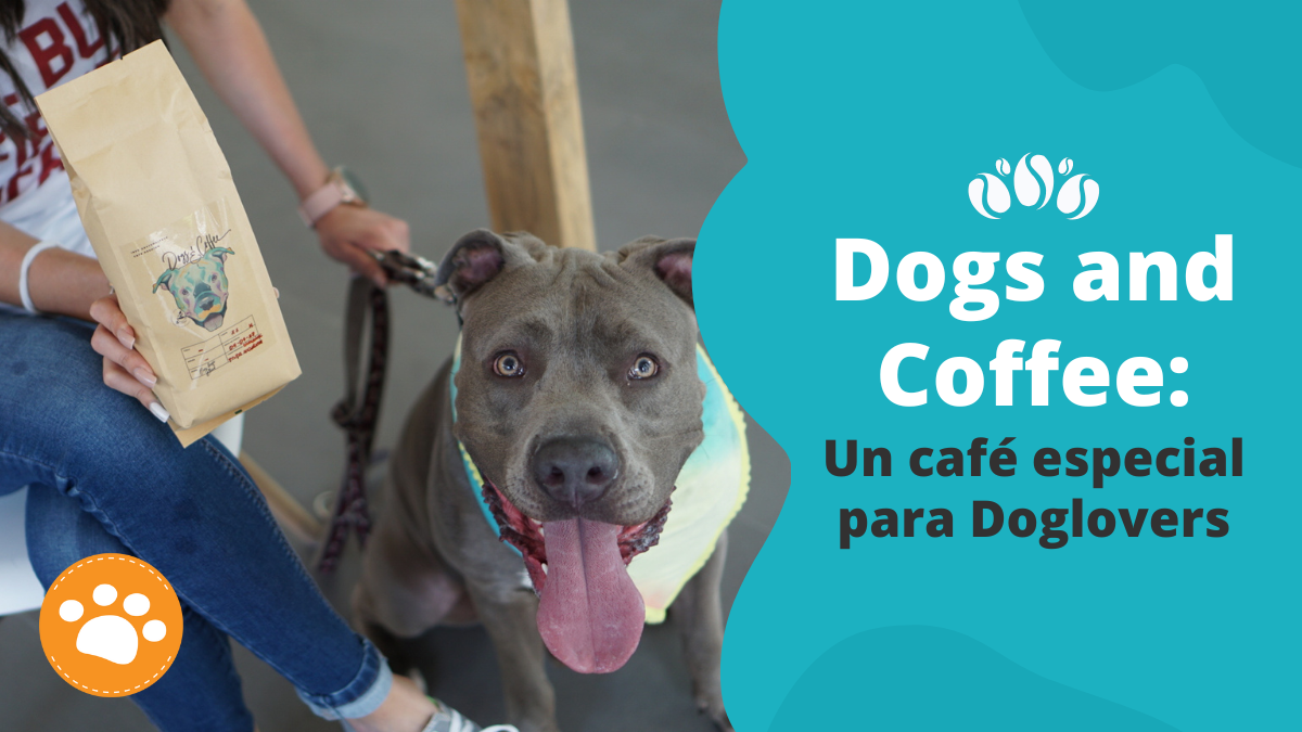 Dogs and Coffee: Un café especial para Doglovers