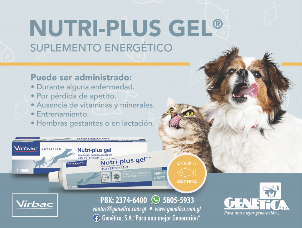 Nutiplus Gel, Suplemento energético. Puede ser administrado durante alguna enfermedad o por pérdida de apetito. Consulta con tu médico de confianza. En Guatemala contacta al 23746400